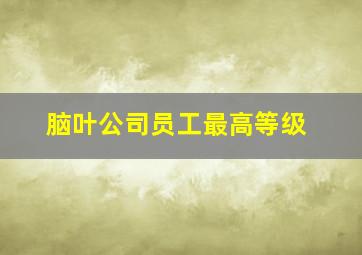 脑叶公司员工最高等级