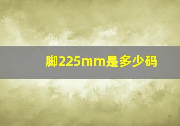 脚225mm是多少码