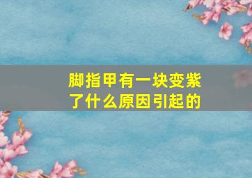 脚指甲有一块变紫了什么原因引起的