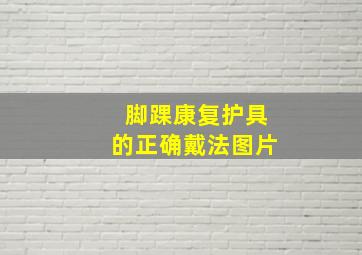 脚踝康复护具的正确戴法图片