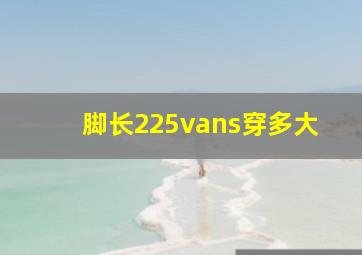 脚长225vans穿多大