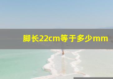 脚长22cm等于多少mm