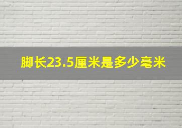 脚长23.5厘米是多少毫米