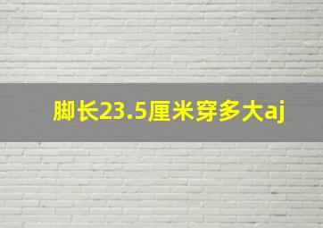 脚长23.5厘米穿多大aj