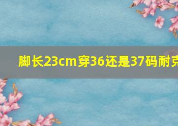 脚长23cm穿36还是37码耐克