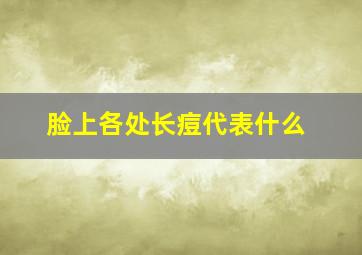 脸上各处长痘代表什么