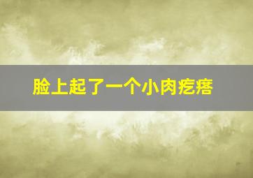 脸上起了一个小肉疙瘩