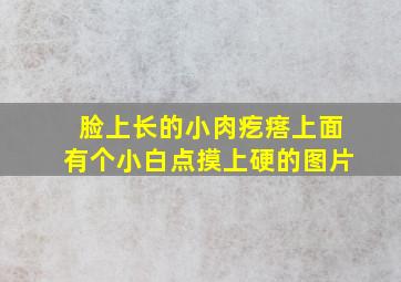 脸上长的小肉疙瘩上面有个小白点摸上硬的图片