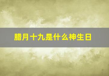 腊月十九是什么神生日