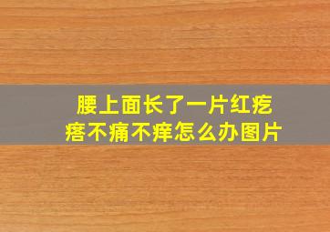 腰上面长了一片红疙瘩不痛不痒怎么办图片