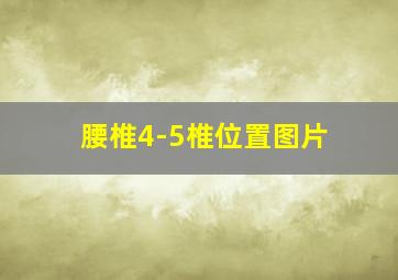 腰椎4-5椎位置图片