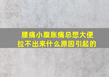 腰痛小腹胀痛总想大便拉不出来什么原因引起的