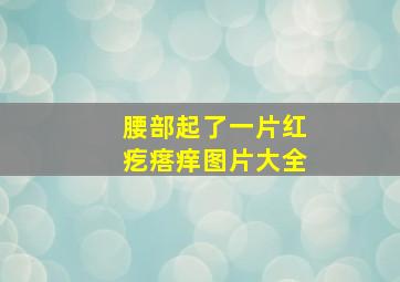 腰部起了一片红疙瘩痒图片大全