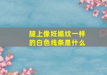 腿上像妊娠纹一样的白色线条是什么