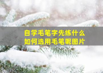 自学毛笔字先练什么如何选用毛笔呢图片