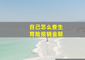 自己怎么查生育险报销金额