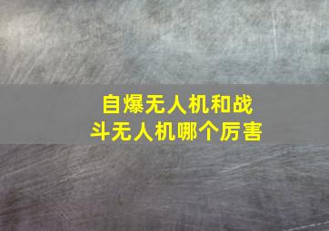 自爆无人机和战斗无人机哪个厉害