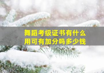 舞蹈考级证书有什么用可有加分吗多少钱