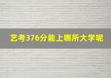 艺考376分能上哪所大学呢