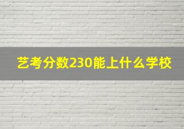 艺考分数230能上什么学校