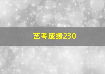 艺考成绩230