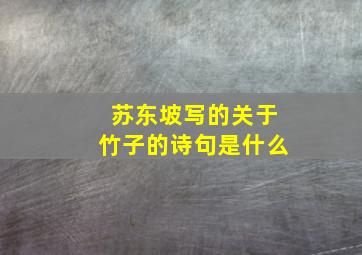 苏东坡写的关于竹子的诗句是什么