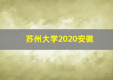 苏州大学2020安徽