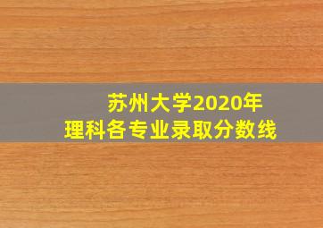 苏州大学2020年理科各专业录取分数线