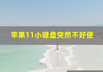 苹果11小键盘突然不好使