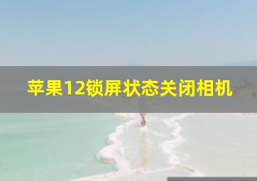 苹果12锁屏状态关闭相机