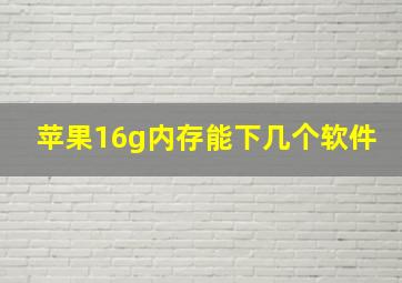 苹果16g内存能下几个软件