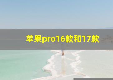 苹果pro16款和17款