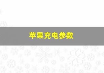 苹果充电参数