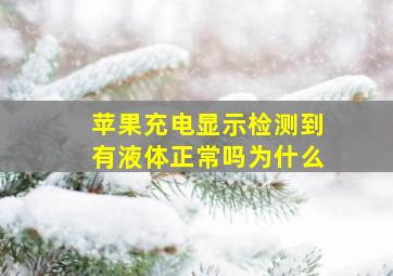 苹果充电显示检测到有液体正常吗为什么