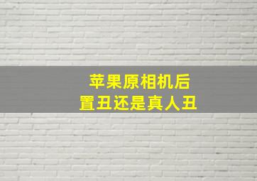 苹果原相机后置丑还是真人丑