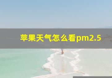 苹果天气怎么看pm2.5