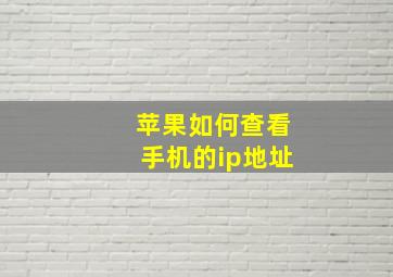 苹果如何查看手机的ip地址