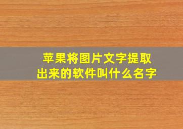 苹果将图片文字提取出来的软件叫什么名字