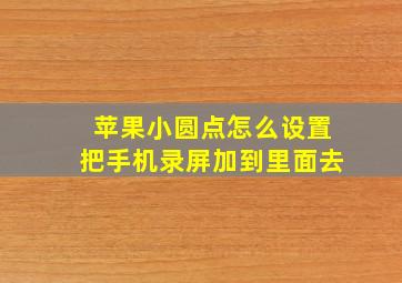 苹果小圆点怎么设置把手机录屏加到里面去