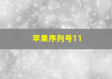 苹果序列号11