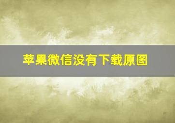 苹果微信没有下载原图