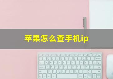 苹果怎么查手机ip