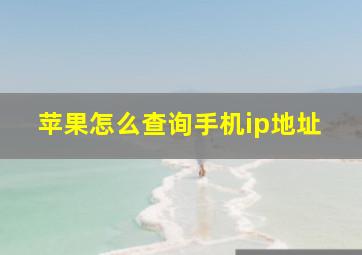 苹果怎么查询手机ip地址