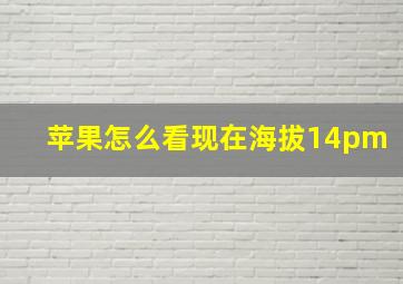 苹果怎么看现在海拔14pm