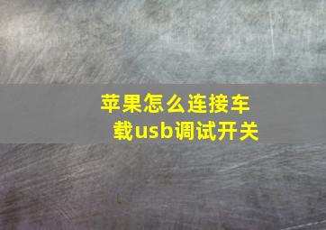 苹果怎么连接车载usb调试开关