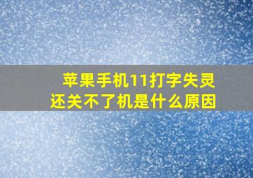 苹果手机11打字失灵还关不了机是什么原因