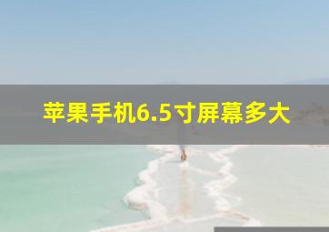 苹果手机6.5寸屏幕多大