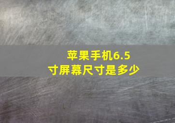 苹果手机6.5寸屏幕尺寸是多少