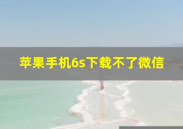 苹果手机6s下载不了微信