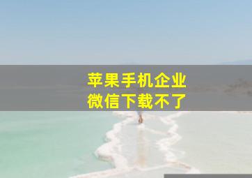 苹果手机企业微信下载不了